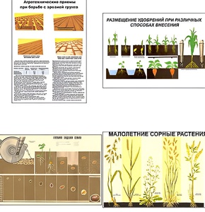 Плакаты ПРОФТЕХ "Агрономия" (5 пл, винил, 70х100) - fgospostavki.ru - Ростов-на-Дону