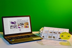 Коллекция натурально-интерактивная "Кварц в природе" - fgospostavki.ru - Ростов-на-Дону