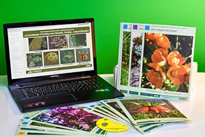 Гербарий натурально-интерактивный "Основные группы растений. Грибы. Лишайники" - fgospostavki.ru - Ростов-на-Дону