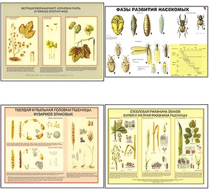 Плакаты ПРОФТЕХ "Вредители и болезни с/х культур и меры борьбы с ними" (11 пл, винил, 70х100) - fgospostavki.ru - Ростов-на-Дону