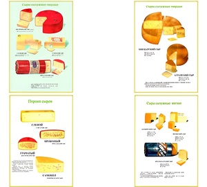 Плакаты ПРОФТЕХ "Ассортимент сыров" (9 пл, винил, 70х100) - fgospostavki.ru - Ростов-на-Дону