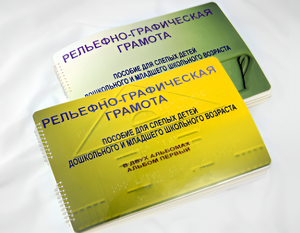 Пособие для слабовидящих детей - Рельефно-графическая грамота для слепых детей дошкольного и младшего школьного возраста - fgospostavki.ru - Ростов-на-Дону
