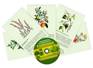 Интерактивный наглядный комплекс "Гербарий "Для начальной школы" - fgospostavki.ru - Ростов-на-Дону