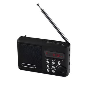 Радиоприемник цифровой с крупными кнопками - fgospostavki.ru - Ростов-на-Дону