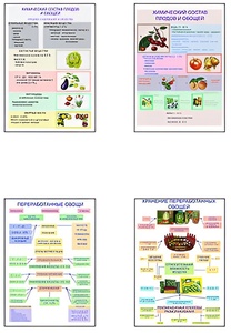 Плакаты ПРОФТЕХ "Классификация овощей и переработка" (8 пл, винил, 70х100) - fgospostavki.ru - Ростов-на-Дону