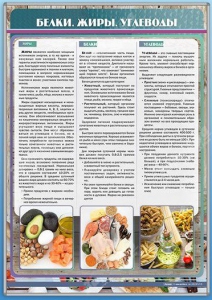 Стенд "Белки. Жиры. Углеводы" - fgospostavki.ru - Ростов-на-Дону