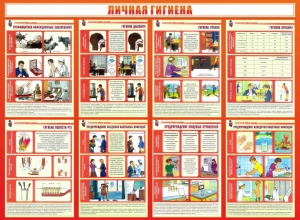 Стенд "Личная гигиена" - fgospostavki.ru - Ростов-на-Дону