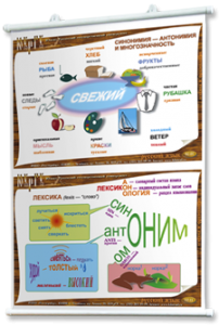 Плакаты по русскому языку для оформления кабинета. - fgospostavki.ru - Ростов-на-Дону