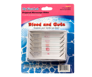 Набор микропрепаратов для микроскопа №1 «Человек» - fgospostavki.ru - Ростов-на-Дону