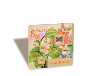 Панель «Жизненный цикл бабочки» - fgospostavki.ru - Ростов-на-Дону