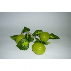 Ветка муляжей "Лайм" - fgospostavki.ru - Ростов-на-Дону