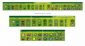 Стенд "Классификация растений" - fgospostavki.ru - Ростов-на-Дону