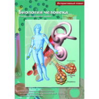 Интерактивные плакаты. Биология человека. Программно-методический комплекс - fgospostavki.ru - Ростов-на-Дону