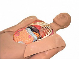 Муляж оперируемого пациента с экскурсией в грудную клетку и маской наркоза - fgospostavki.ru - Ростов-на-Дону