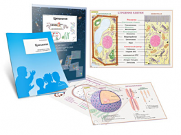 Комплект кодотранспарантов "Цитология" - fgospostavki.ru - Ростов-на-Дону