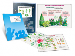 Комплект кодотранспарантов "Культурные растения" - fgospostavki.ru - Ростов-на-Дону