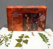 Гербарий для Начальной школы (28 видов) - fgospostavki.ru - Ростов-на-Дону