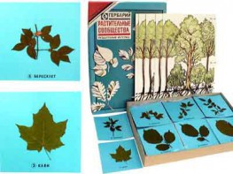 Гербарий "Растительные сообщества" - fgospostavki.ru - Ростов-на-Дону