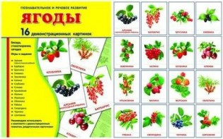 Демонстрационные карточки "Ягоды" - fgospostavki.ru - Ростов-на-Дону