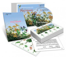 Комбинированное наглядное пособие «Растения» - fgospostavki.ru - Ростов-на-Дону