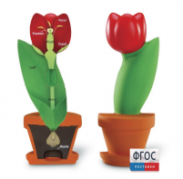 Модель цветка - fgospostavki.ru - Ростов-на-Дону