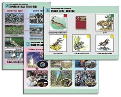 Комплект таблиц "Окружающий мир. Экология" (6 таблиц, А1, ламинированные) - fgospostavki.ru - Ростов-на-Дону