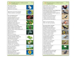 Комплект карточек (10) "Обучающий калейдоскоп. Природа" - fgospostavki.ru - Ростов-на-Дону