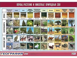 Таблица демонстрационная "Почвы, растения и животные природных зон" (винил 70*100) - fgospostavki.ru - Ростов-на-Дону