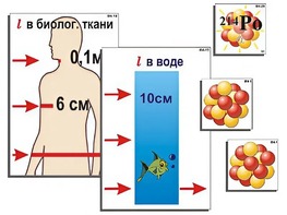 Модель-аппликация "Явление радиоактивности" (ламинированная) - fgospostavki.ru - Ростов-на-Дону