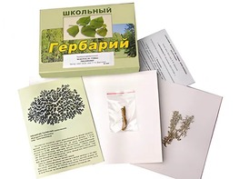 Гербарий "Водоросли. Грибы. Лишайники" (раздаточный) - fgospostavki.ru - Ростов-на-Дону