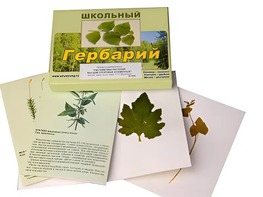 Гербарий "Систематика растений. Высшие споровые и семенные" (раздаточный) - fgospostavki.ru - Ростов-на-Дону