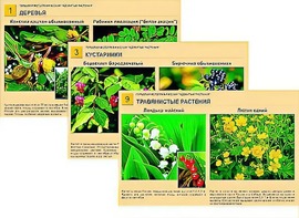 Гербарий фотографический "Ядовитые растения" - fgospostavki.ru - Ростов-на-Дону