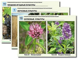 Гербарий фотографический "Сельскохозяйственные растения России" - fgospostavki.ru - Ростов-на-Дону