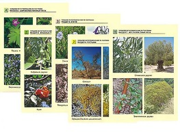 Гербарий фотографический по географии - fgospostavki.ru - Ростов-на-Дону