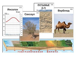 Модель-аппликация "Природные зоны" - fgospostavki.ru - Ростов-на-Дону