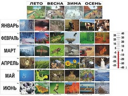 Фенологические наблюдения - fgospostavki.ru - Ростов-на-Дону