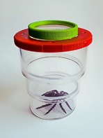 Коробка для изучения насекомых (с лупой) - fgospostavki.ru - Ростов-на-Дону