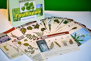 Гербарий к курсу основ общей биологии - fgospostavki.ru - Ростов-на-Дону
