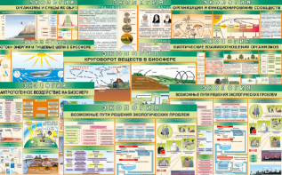 Комплект таблиц "Экология (9 листов)" (100х140 сантиметров, винил) - fgospostavki.ru - Ростов-на-Дону