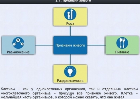 Интерактивные курсы. Биология 5 класс. Базовый - fgospostavki.ru - Ростов-на-Дону