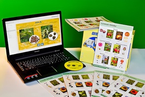 Коллекция натурально-интерактивная "Семена и плоды" - fgospostavki.ru - Ростов-на-Дону