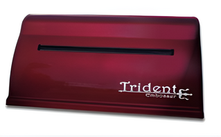 Принтер для печати рельефно-точечным шрифтом Брайля Trident - fgospostavki.ru - Ростов-на-Дону