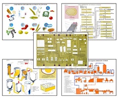 Плакаты ПРОФТЕХ "Сырье и материалы хлебопекарного производства" (20 пл, винил, 70х100) - fgospostavki.ru - Ростов-на-Дону