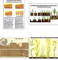 Плакаты ПРОФТЕХ "Агрономия" (5 пл, винил, 70х100) - fgospostavki.ru - Ростов-на-Дону