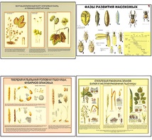 Плакаты ПРОФТЕХ "Вредители и болезни с/х культур и меры борьбы с ними" (11 пл, винил, 70х100) - fgospostavki.ru - Ростов-на-Дону