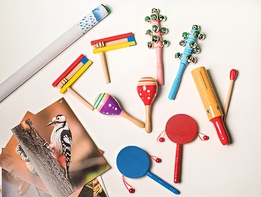 Комплект шумовых музыкальных инструментов - fgospostavki.ru - Ростов-на-Дону