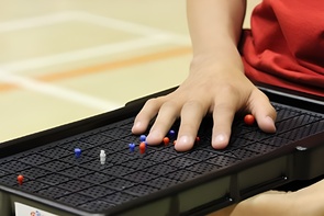 Сетка для игры тактильная (Бочча) - fgospostavki.ru - Ростов-на-Дону