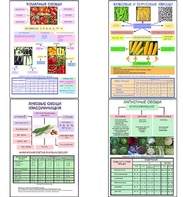 Плакаты ПРОФТЕХ "Классификация овощей" (11 пл, винил, 70х100) - fgospostavki.ru - Ростов-на-Дону