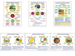 Плакаты ПРОФТЕХ "Плоды" (6 пл, винил, 70х100) - fgospostavki.ru - Ростов-на-Дону