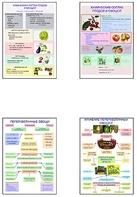 Плакаты ПРОФТЕХ "Классификация овощей и переработка" (8 пл, винил, 70х100) - fgospostavki.ru - Ростов-на-Дону